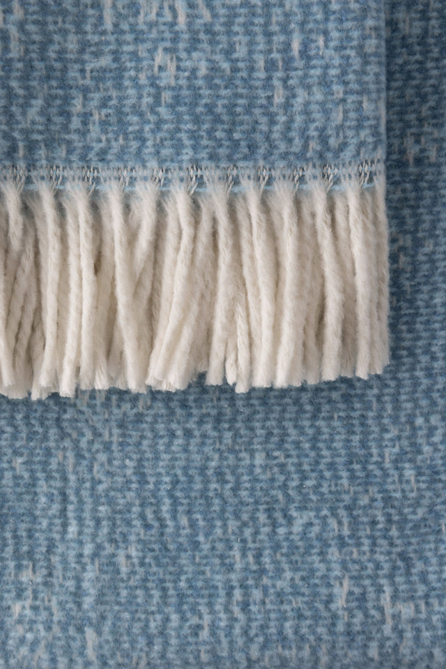 Manta Stellar Celeste