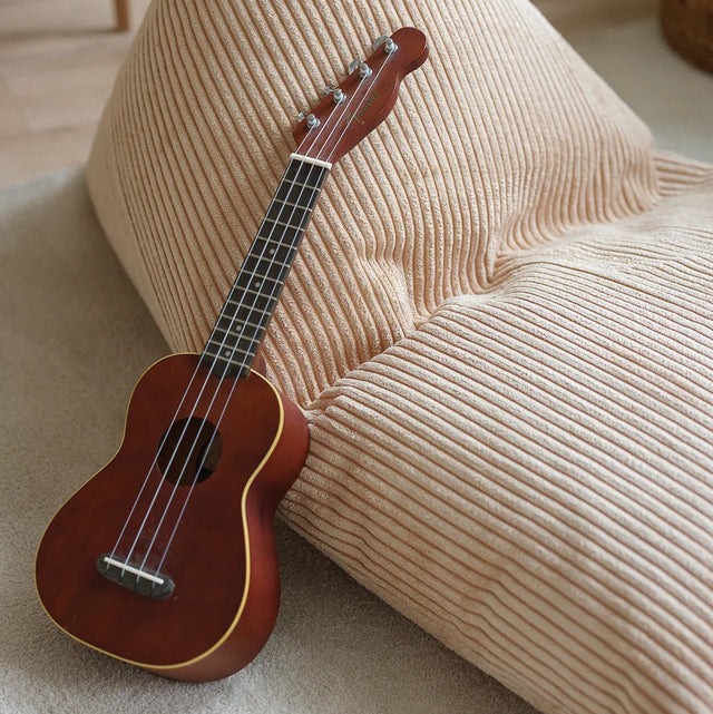 Azúcar morena gran tumbona