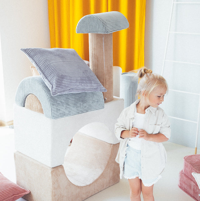 Cojín de bloque azul de arándanos