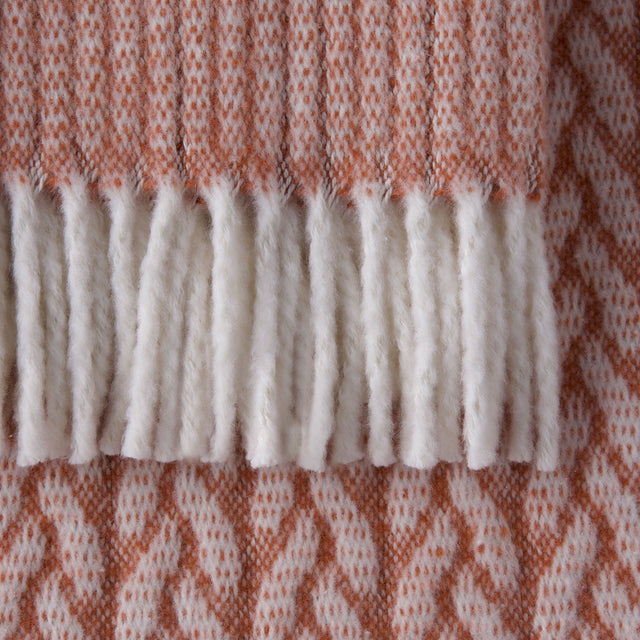 Manta Olympus Terracota